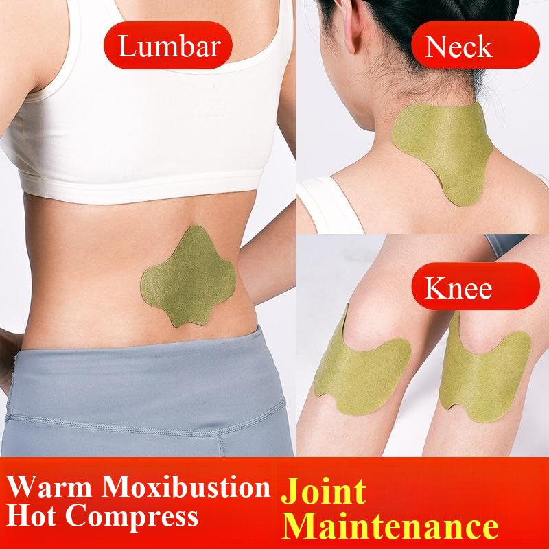 Yoga Health & Fitness Centre - 100pcs Wormwood Lumbar Patches Neck, Shoulder
